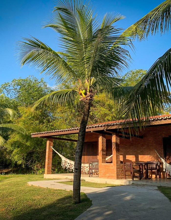 WhatsApp Image 2020-12-16 at 15.08.12 (2)